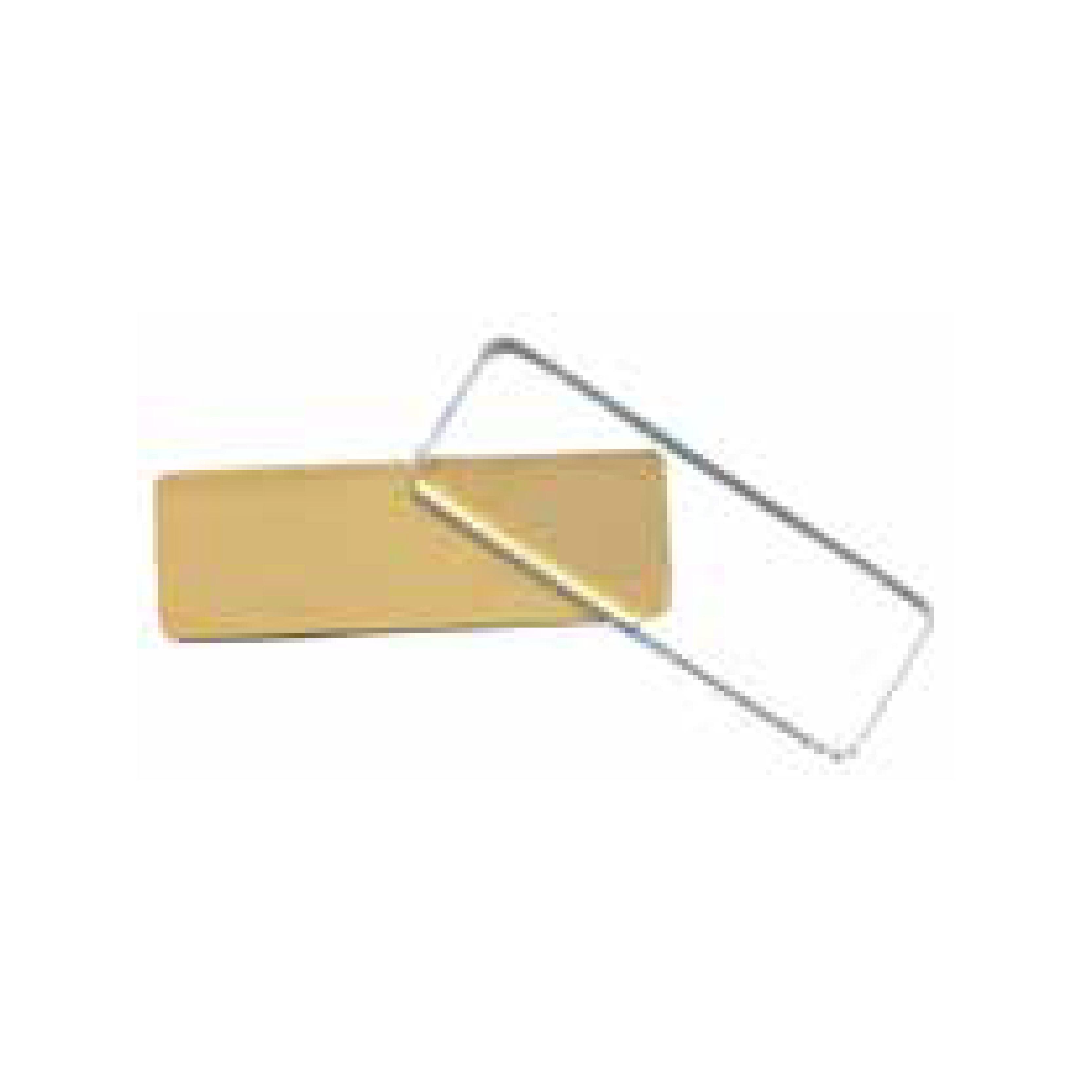 Brushed Gold Insert Plastic Badge with Lens Cover